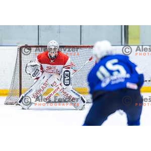 in action during World Championship 2025 preparation ice-hockey match between Slovenia and Denmark in Ledna Dvorana, Maribor, Slovenia on April 30, 2025. Photo: Jure Banfi