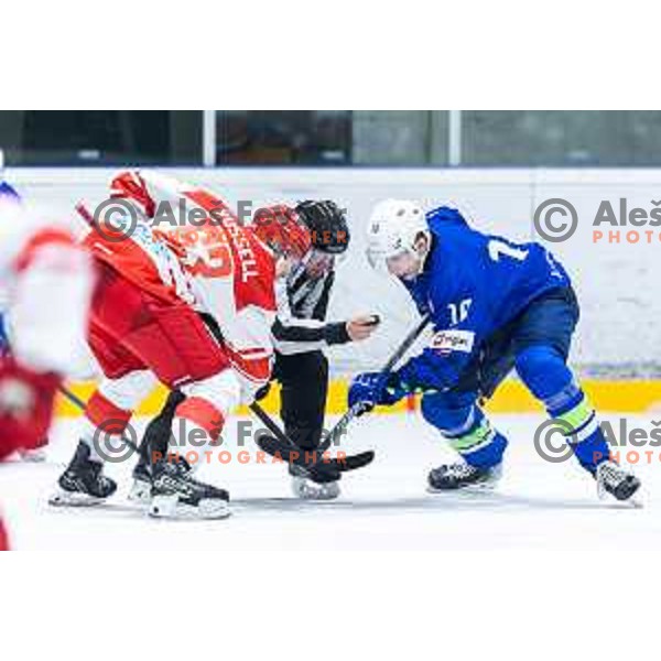 in action during World Championship 2025 preparation ice-hockey match between Slovenia and Denmark in Ledna Dvorana, Maribor, Slovenia on April 30, 2025. Photo: Jure Banfi