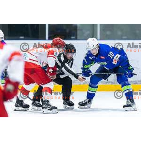 in action during World Championship 2025 preparation ice-hockey match between Slovenia and Denmark in Ledna Dvorana, Maribor, Slovenia on April 30, 2025. Photo: Jure Banfi