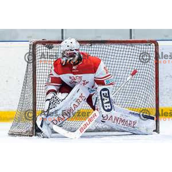in action during World Championship 2025 preparation ice-hockey match between Slovenia and Denmark in Ledna Dvorana, Maribor, Slovenia on April 30, 2025. Photo: Jure Banfi