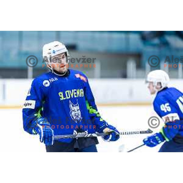 in action during World Championship 2025 preparation ice-hockey match between Slovenia and Denmark in Ledna Dvorana, Maribor, Slovenia on April 30, 2025. Photo: Jure Banfi