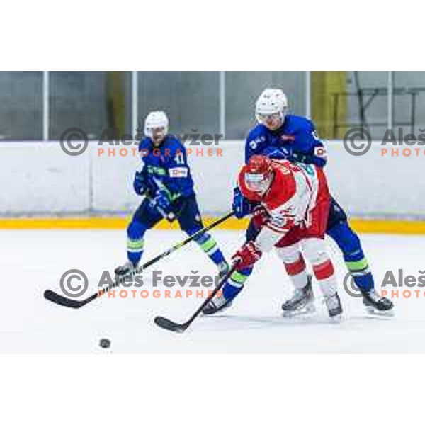 in action during World Championship 2025 preparation ice-hockey match between Slovenia and Denmark in Ledna Dvorana, Maribor, Slovenia on April 30, 2025. Photo: Jure Banfi