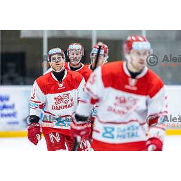 in action during World Championship 2025 preparation ice-hockey match between Slovenia and Denmark in Ledna Dvorana, Maribor, Slovenia on April 30, 2025. Photo: Jure Banfi