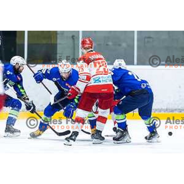 in action during World Championship 2025 preparation ice-hockey match between Slovenia and Denmark in Ledna Dvorana, Maribor, Slovenia on April 30, 2025. Photo: Jure Banfi