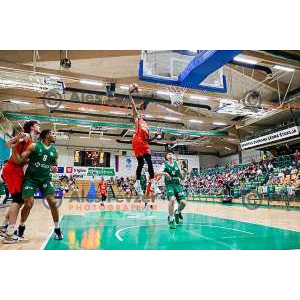 Devin Robinson in action during at regular season basketball match of AdmiralBet ABA League 2024/2025 between Krka (SLO) and Cedevita Olimpija Ljubljana (SLO) in Novo mesto, Slovenia on May 3, 2025
