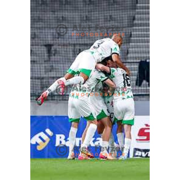 David Sualehe and players of Olimpija celebrate a goal during Prva liga Telemach 2024/2025 football match between Olimpija and Maribor in Ljubljana, Slovenia on May 3, 2025