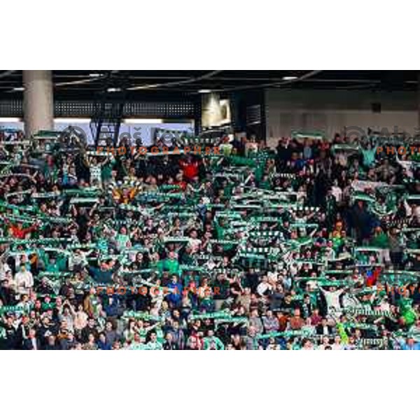 Fans of Olimpija during Prva liga Telemach 2024/2025 football match between Olimpija and Maribor in Ljubljana, Slovenia on May 3, 2025