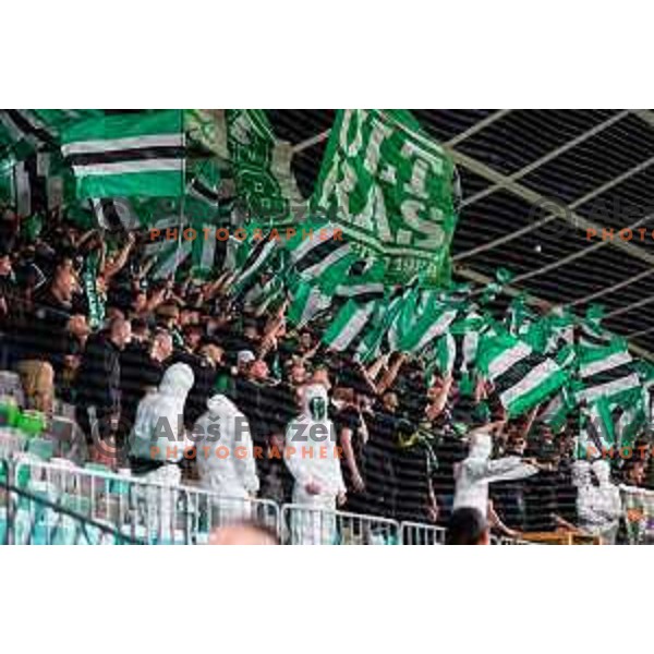 Fans of Olimpija during Prva liga Telemach 2024/2025 football match between Olimpija and Maribor in Ljubljana, Slovenia on May 3, 2025