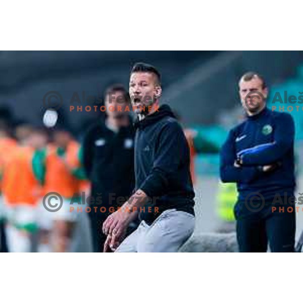 Bostjan Cesar, head coach of Maribor during Prva liga Telemach 2024/2025 football match between Olimpija and Maribor in Ljubljana, Slovenia on May 3, 2025