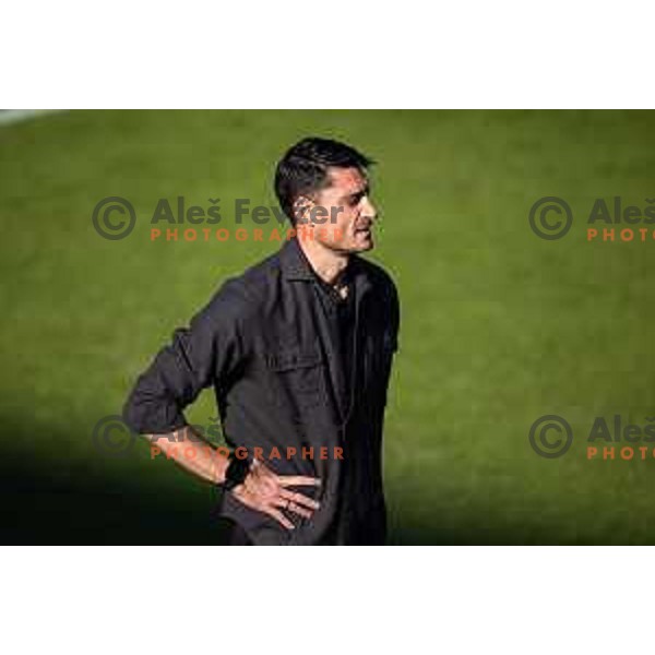 Albert Riera, head coach of Celje during Prva liga Telemach football match between Celje and Koper in Stadion z’dezele, Celje, Slovenia on May 10, 2025. Photo: Jure Banfi