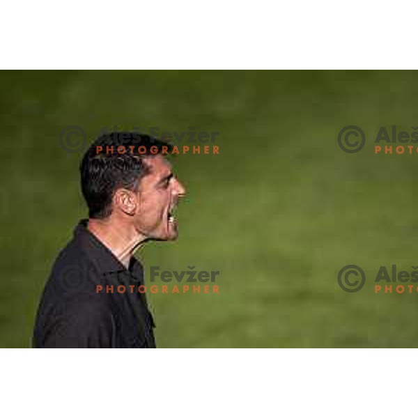 Albert Riera, head coach of Celje during Prva liga Telemach football match between Celje and Koper in Stadion z’dezele, Celje, Slovenia on May 10, 2025. Photo: Jure Banfi