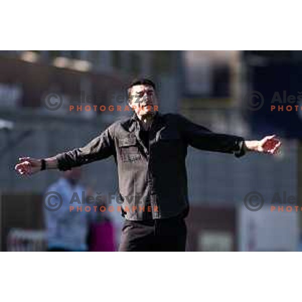 Albert Riera, head coach of Celje during Prva liga Telemach football match between Celje and Koper in Stadion z’dezele, Celje, Slovenia on May 10, 2025. Photo: Jure Banfi