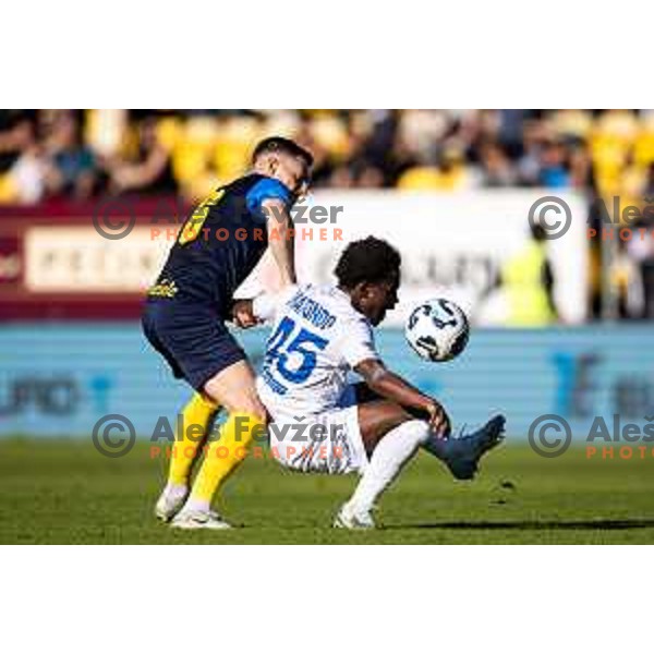 in action during Prva liga Telemach football match between Celje and Koper in Stadion z’dezele, Celje, Slovenia on May 10, 2025. Photo: Jure Banfi