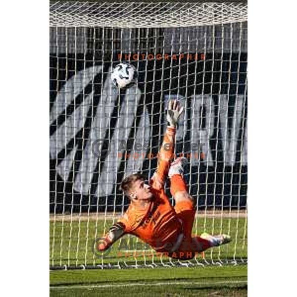 Luka Kolar in action during Prva liga Telemach football match between Celje and Koper in Stadion z’dezele, Celje, Slovenia on May 10, 2025. Photo: Jure Banfi