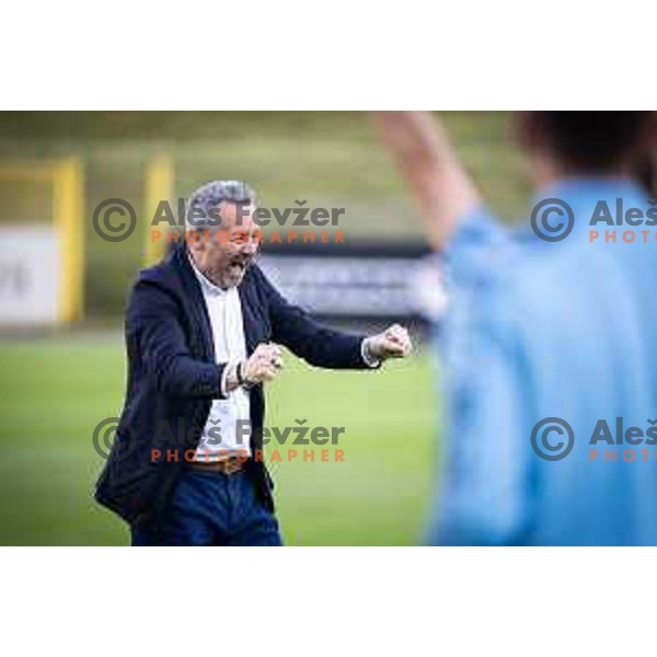 Slavisa Stojanovic, head coach of Koper celebrating victory during Prva liga Telemach football match between Celje and Koper in Stadion z’dezele, Celje, Slovenia on May 10, 2025. Photo: Jure Banfi