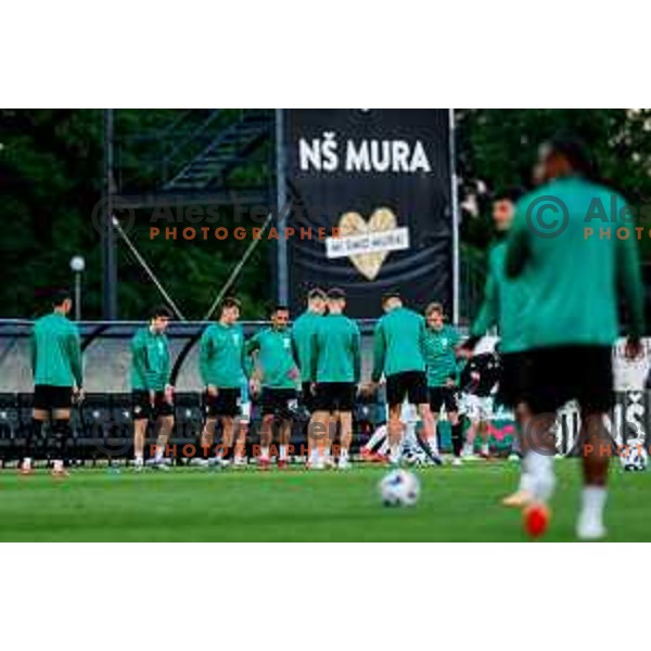 in action during Prva liga Telemach 2024/2025 football match between Mura and Olimpija in Murska Sobota, Slovenia on May 10, 2025