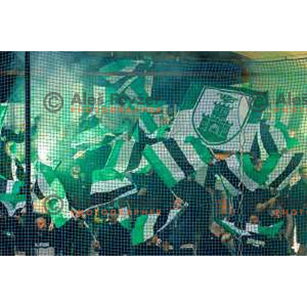 in action during Prva liga Telemach 2024/2025 football match between Mura and Olimpija in Murska Sobota, Slovenia on May 10, 2025