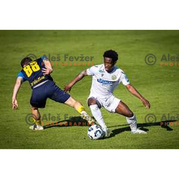 Isaac Matondo in action during Prva liga Telemach football match between Celje and Koper in Stadion z’dezele, Celje, Slovenia on May 10, 2025. Photo: Jure Banfi