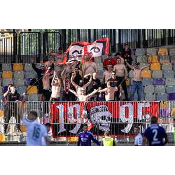 Primorje supporters Red Devils during Prva liga Telemach football match between Maribor and Primorje in Ljudski vrt, Maribor, Slovenia on May 11, 2025. Photo: Jure Banfi