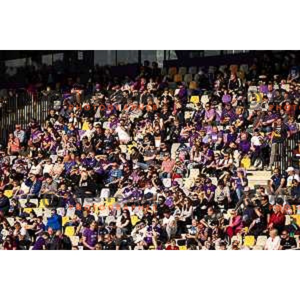 Fans of Maribor during Prva liga Telemach football match between Maribor and Primorje in Ljudski vrt, Maribor, Slovenia on May 11, 2025. Photo: Jure Banfi