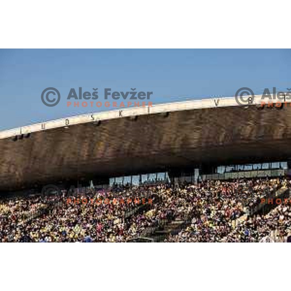 Fans of Maribor during Prva liga Telemach football match between Maribor and Primorje in Ljudski vrt, Maribor, Slovenia on May 11, 2025. Photo: Jure Banfi