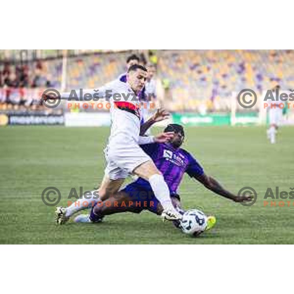 in action during Prva liga Telemach football match between Maribor and Primorje in Ljudski vrt, Maribor, Slovenia on May 11, 2025. Photo: Jure Banfi