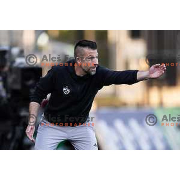 Bostjan Cesar, head coach of Maribor during Prva liga Telemach football match between Maribor and Primorje in Ljudski vrt, Maribor, Slovenia on May 11, 2025. Photo: Jure Banfi