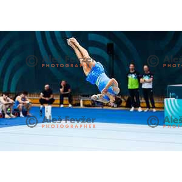 Nikolaj Bozic of Slovenia during 19. FIG Art World Challange Cup in Koper, on May 13, 2025, Slovenia Photo: Grega Valancic