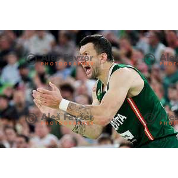 Andrija Stipanovic of Cedevita Olimpija in action during Second match of Quarterfinals of AdmiralBet ABA League 2024/2025 between Cedevita Olimpija Ljubljana (SLO) and Dubai (UAE) in SRC Stozice, Ljubljana, Slovenia on May 16, 2025. Photo: Filip Barbalic