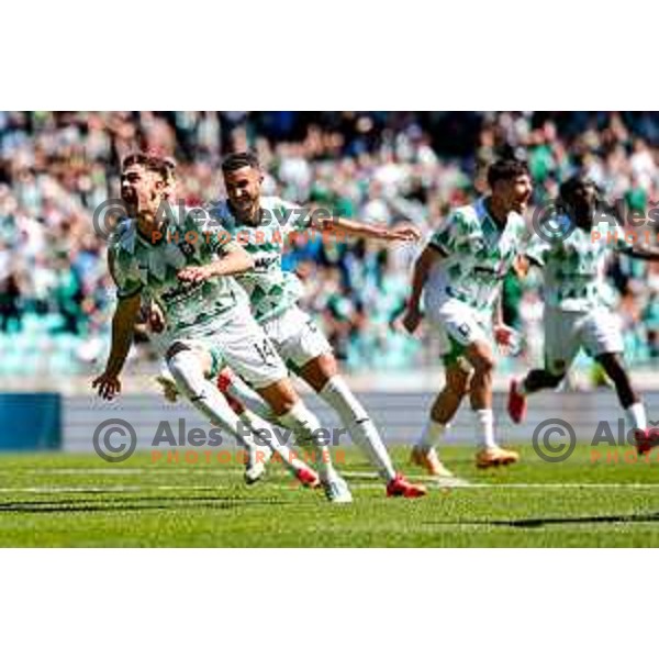 Marcel Ratnik and players of Olimpija celebrate goal during Prva liga Telemach 2024/2025 football match between Olimpija and Kalcer Radomlje in Ljubljana, Slovenia on May 17, 2025