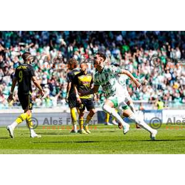 Marcel Ratnik of Olimpija celebrates a goal during Prva liga Telemach 2024/2025 football match between Olimpija and Kalcer Radomlje in Ljubljana, Slovenia on May 17, 2025