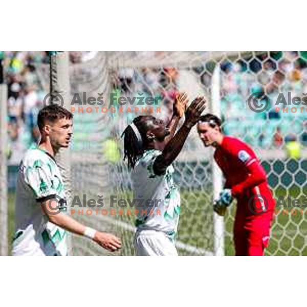 Marcel Ratnik and players of Olimpija celebrate goal during Prva liga Telemach 2024/2025 football match between Olimpija and Kalcer Radomlje in Ljubljana, Slovenia on May 17, 2025