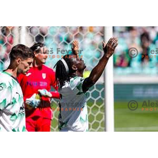 Marcel Ratnik and players of Olimpija celebrate goal during Prva liga Telemach 2024/2025 football match between Olimpija and Kalcer Radomlje in Ljubljana, Slovenia on May 17, 2025