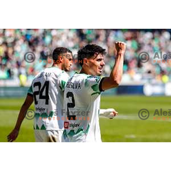 Marcel Ratnik and players of Olimpija celebrate goal during Prva liga Telemach 2024/2025 football match between Olimpija and Kalcer Radomlje in Ljubljana, Slovenia on May 17, 2025