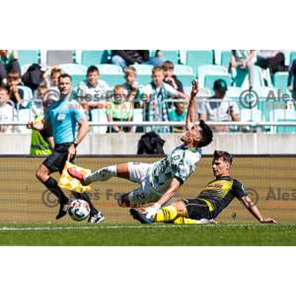 Alex Tamm and players of Olimpija celebrate a goal during Prva liga Telemach 2024/2025 football match between Olimpija and Kalcer Radomlje in Ljubljana, Slovenia on May 17, 2025