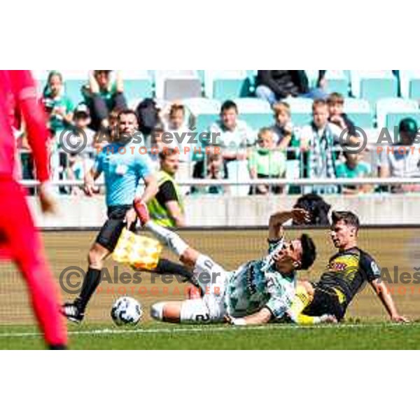 Alex Tamm and players of Olimpija celebrate a goal during Prva liga Telemach 2024/2025 football match between Olimpija and Kalcer Radomlje in Ljubljana, Slovenia on May 17, 2025