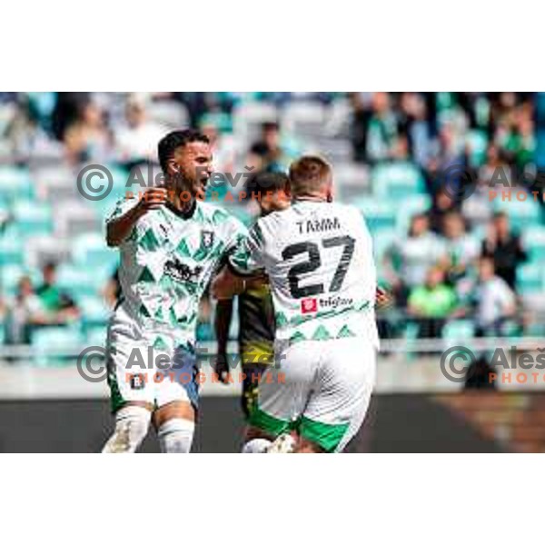 Alex Tamm and players of Olimpija celebrate a goal during Prva liga Telemach 2024/2025 football match between Olimpija and Kalcer Radomlje in Ljubljana, Slovenia on May 17, 2025