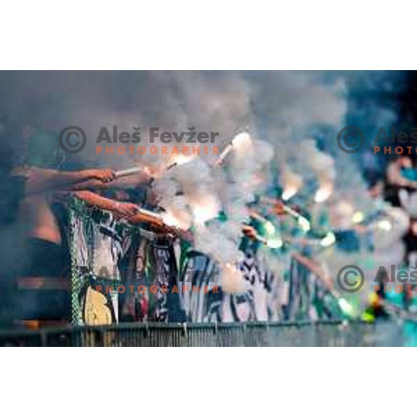 during Prva liga Telemach 2024/2025 football match between Olimpija and Kalcer Radomlje in Ljubljana, Slovenia on May 17, 2025