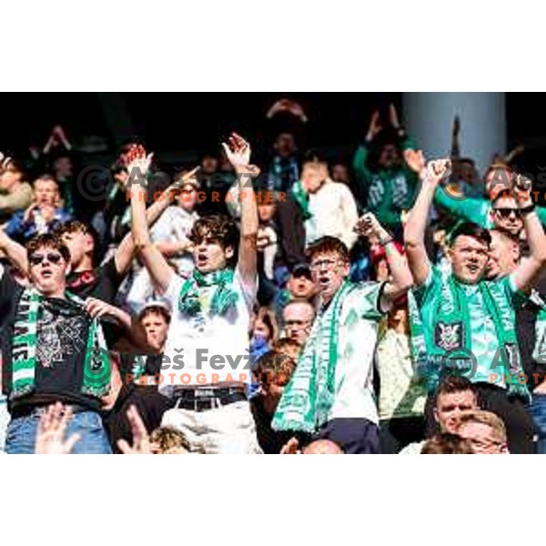 during Prva liga Telemach 2024/2025 football match between Olimpija and Kalcer Radomlje in Ljubljana, Slovenia on May 17, 2025