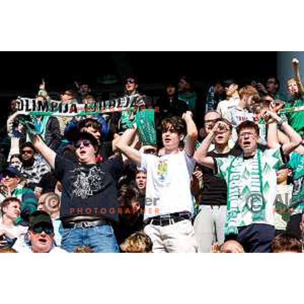 during Prva liga Telemach 2024/2025 football match between Olimpija and Kalcer Radomlje in Ljubljana, Slovenia on May 17, 2025
