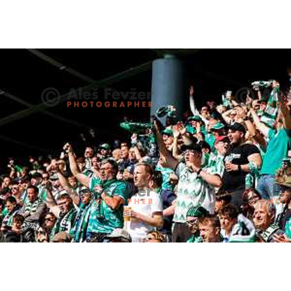during Prva liga Telemach 2024/2025 football match between Olimpija and Kalcer Radomlje in Ljubljana, Slovenia on May 17, 2025