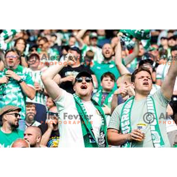during Prva liga Telemach 2024/2025 football match between Olimpija and Kalcer Radomlje in Ljubljana, Slovenia on May 17, 2025