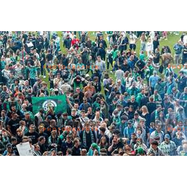 during Prva liga Telemach 2024/2025 football match between Olimpija and Kalcer Radomlje in Ljubljana, Slovenia on May 17, 2025