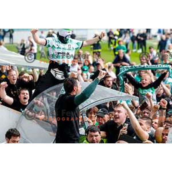 Victor Sanchez, head coach of Olimpija celebrate Slovenian National Title with players and fans after Prva liga Telemach 2024/2025 football match between Olimpija and Kalcer Radomlje in Ljubljana, Slovenia on May 17, 2025