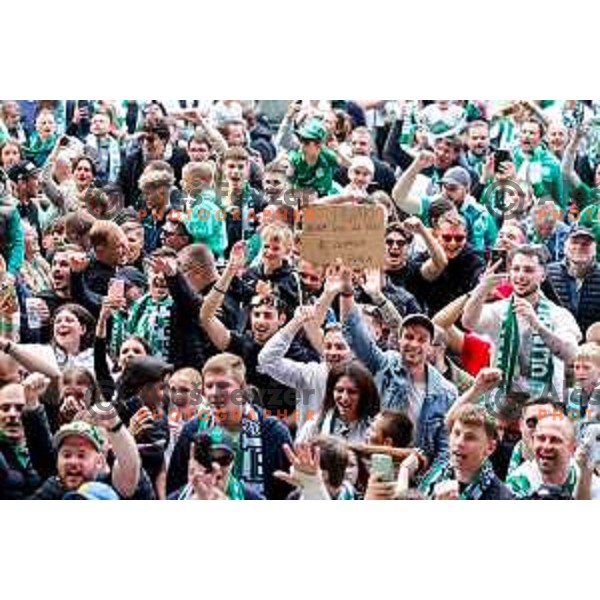 during Prva liga Telemach 2024/2025 football match between Olimpija and Kalcer Radomlje in Ljubljana, Slovenia on May 17, 2025