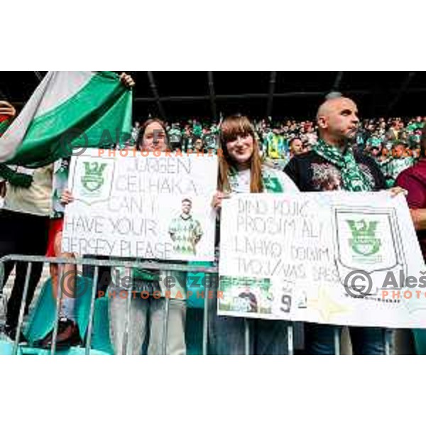during Prva liga Telemach 2024/2025 football match between Olimpija and Kalcer Radomlje in Ljubljana, Slovenia on May 17, 2025