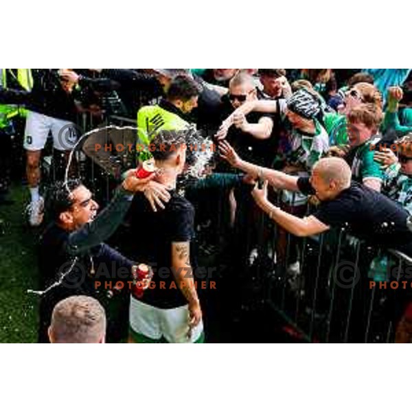 during Prva liga Telemach 2024/2025 football match between Olimpija and Kalcer Radomlje in Ljubljana, Slovenia on May 17, 2025