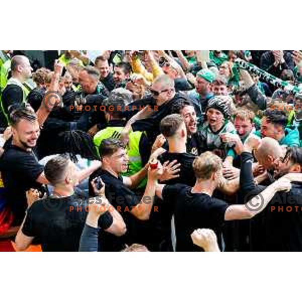 Victor Sanchez, head coach of Olimpija celebrate Slovenian National Title with players and fans after Prva liga Telemach 2024/2025 football match between Olimpija and Kalcer Radomlje in Ljubljana, Slovenia on May 17, 2025