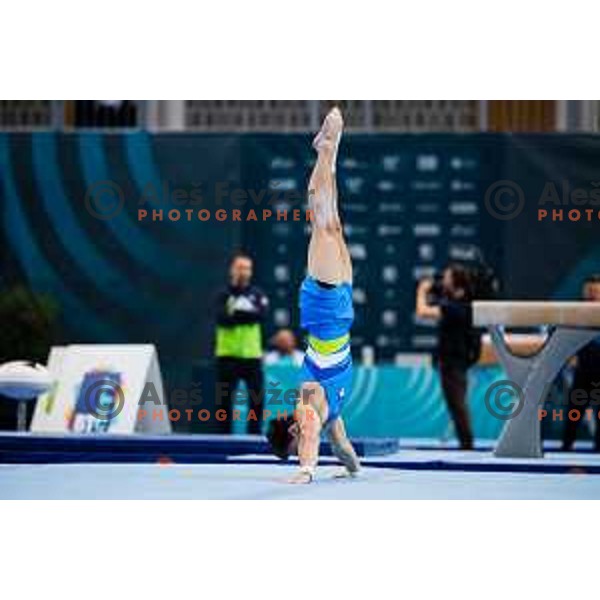 Anze Hribar of Slovenia during finals day at 19. FIG Art World Challange Cup in Koper, on May 16, 2025, Slovenia Photo: Grega Valancic