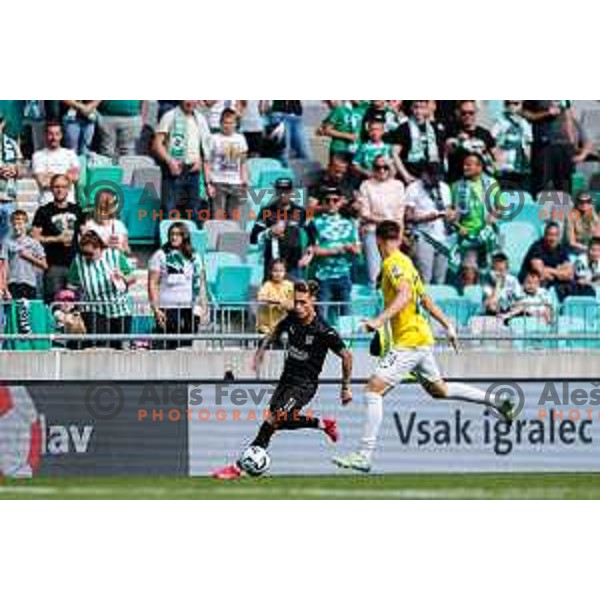 Fans of Olimpija celebrate Slovenian National Title after the Prva liga Telemach 2024/2025 football match between Bravo and Olimpija in Ljubljana, Slovenia on May 24, 2025